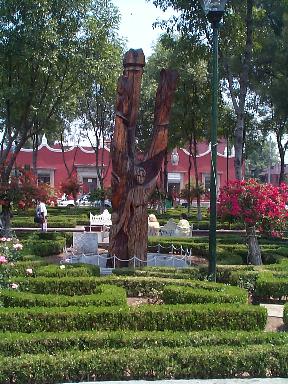 Photo 5: coyoprk2
