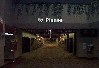 Photo 1: toplanes